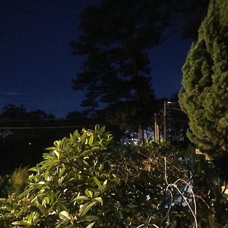 Windy House Hotel Da Lat Exterior foto