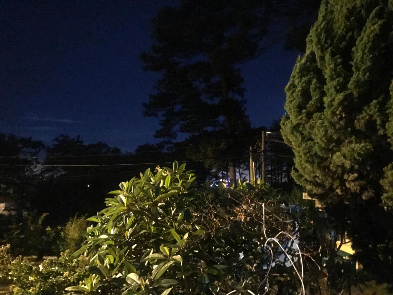 Windy House Hotel Da Lat Exterior foto